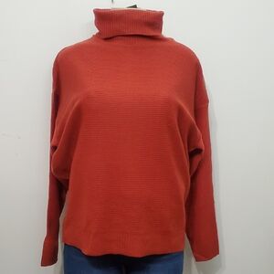 Ambiance Brick Red Turtleneck Sweater